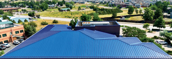 Douglas County School District Student Services Cee-Lock Panel Award Blue