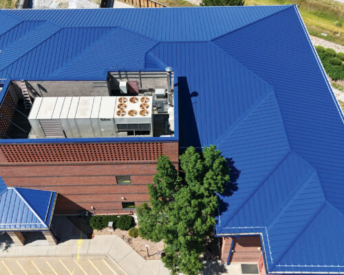 Douglas County School District Student Services Cee-Lock Panel Award Blue