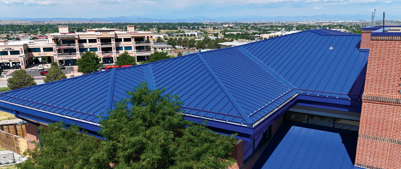 Douglas County School District Student Services Cee-Lock Panel Award Blue