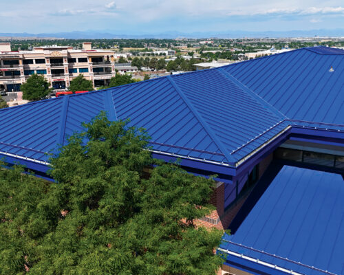 Douglas County School District Student Services Cee-Lock Panel Award Blue