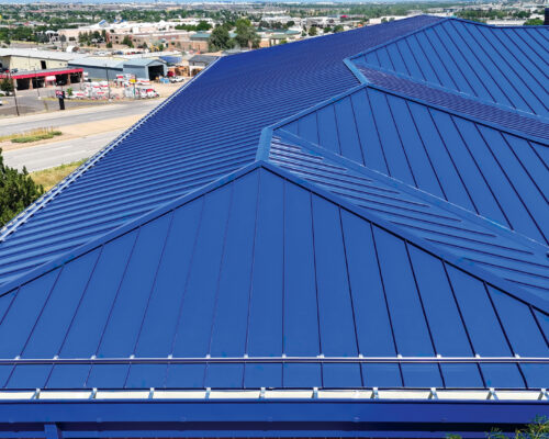 Douglas County School District Student Services Cee-Lock Panel Award Blue